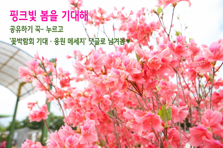 페북2.jpg