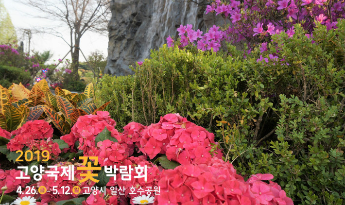꽃박람회_3.jpg