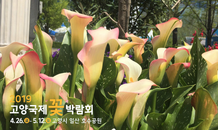 꽃박람회_5.jpg